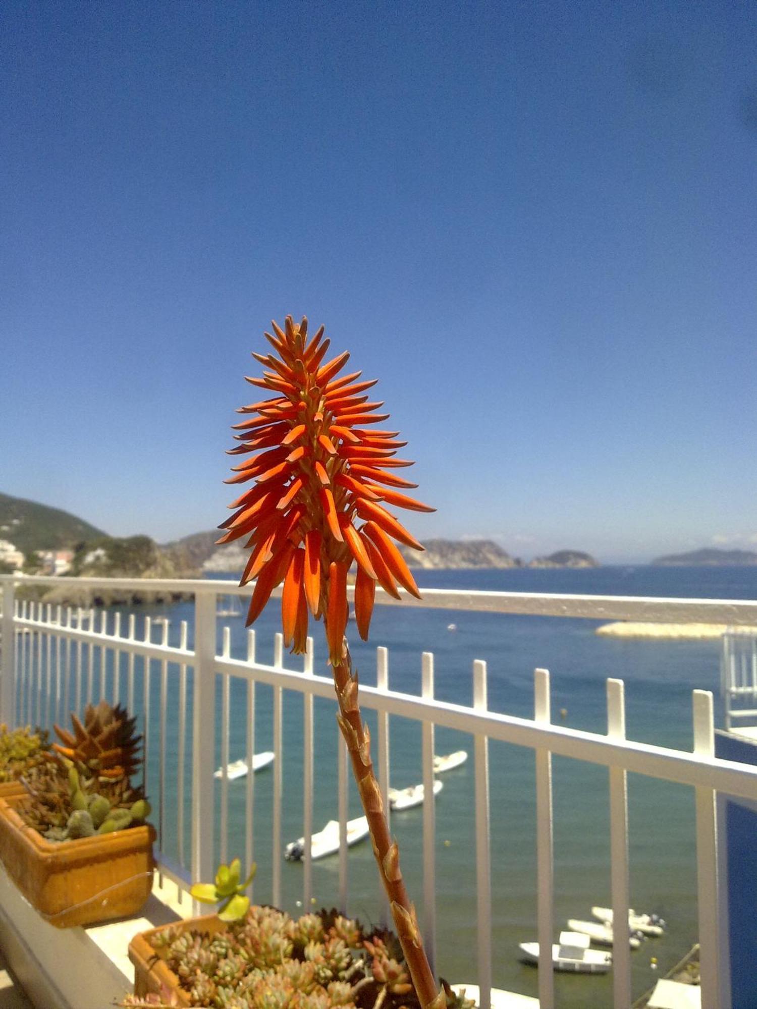 Hotel La Baia 蓬扎 外观 照片